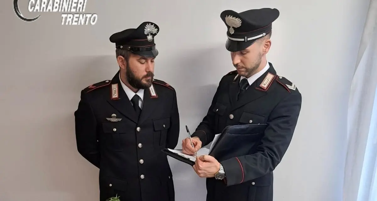 Giudicarie, giovane arrestato per droga: in casa cocaina, marijuana e hashish