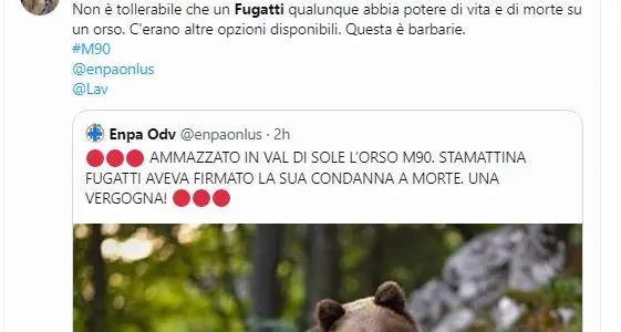 Con l’abbattimento di M90 Fugatti “vola” sui social: batte anche Amadeus