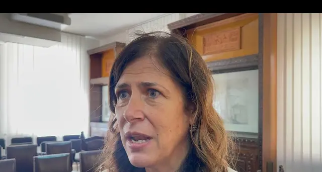Consulta: Todde, 'fondate le ragioni del ricorso della Sardegna'