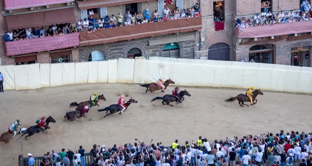 Palio Siena: estratte le tre contrade per il 16 agosto