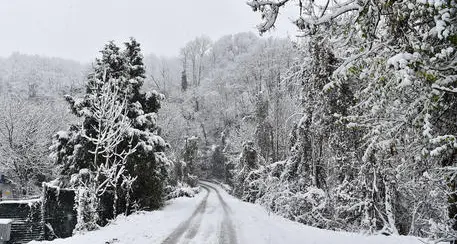 Maltempo: in Trentino torna la neve anche a quote basse. Attese precipitazioni a partire da domani