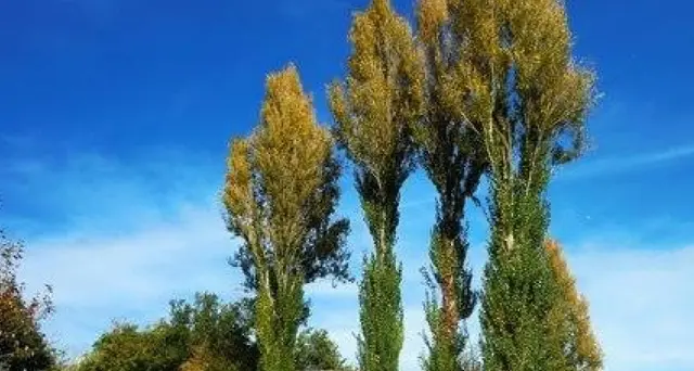 Ferragosto: Coldiretti, picnic per 6 milioni di italiani