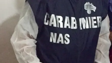ANSA