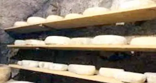 Contaminazione dei prodotti caseari: il Pd chiede trasparenza sulle misure di controllo