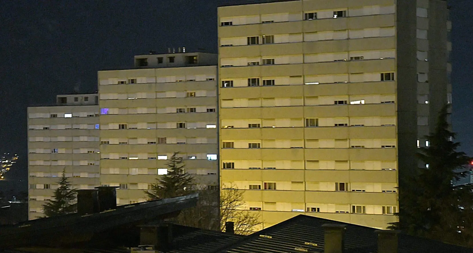 Nel giroscale del condominio due sacchi con un cane e un gatto morti