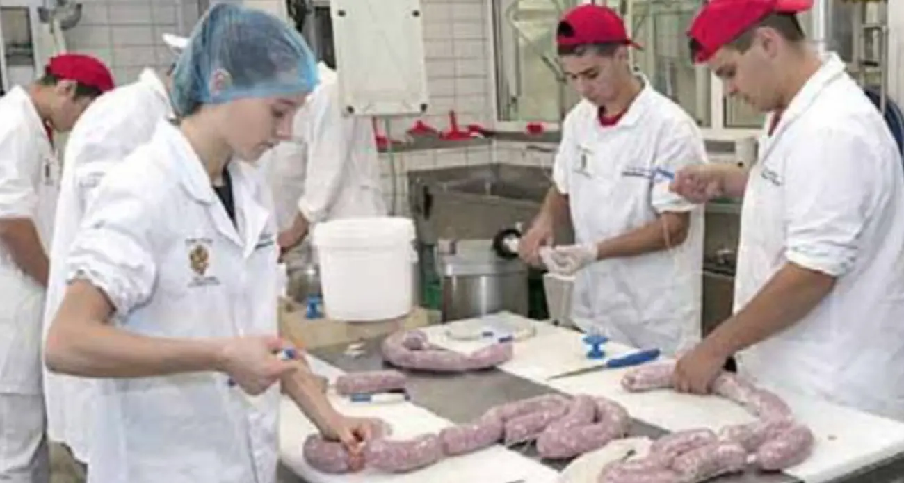 Trasformazioni agricole, lavoro assicurato: aziende a caccia degli alunni di San Michele