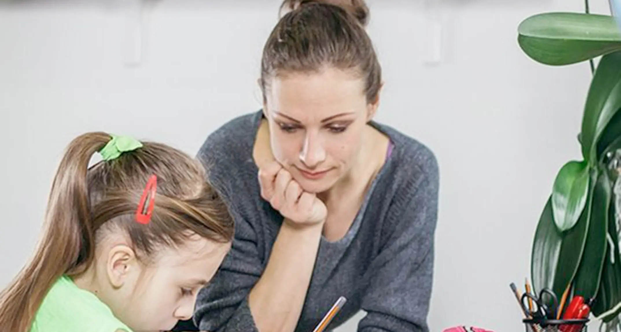 «Si possono ritirare i figli da scuola e insegnare loro privatamente a casa»
