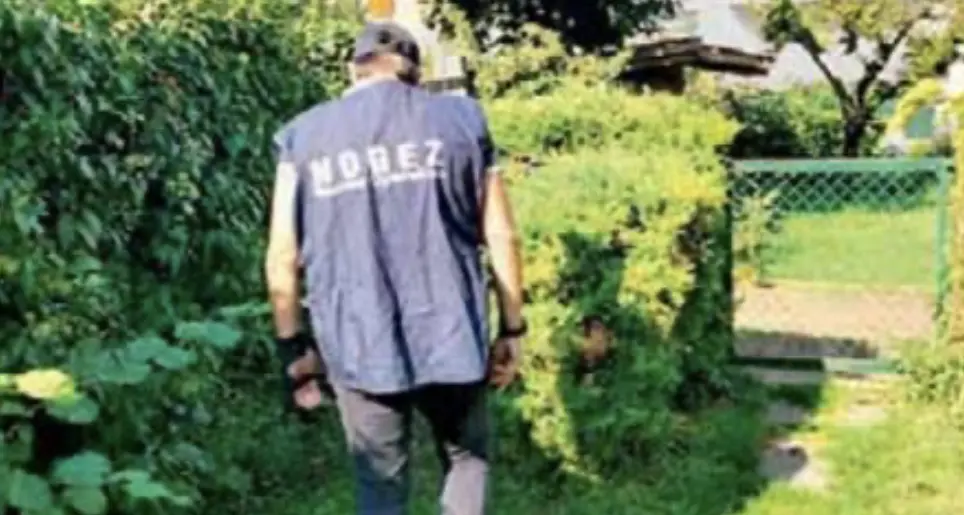 Boccone avvelenato nel giardino di una casa: veterinario e nucleo operativo guardie zoofile - Nogez Trento sul posto