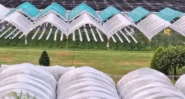 Tempo più caldo e grandinate violente: ecco come cambieranno le serre agricole del futuro