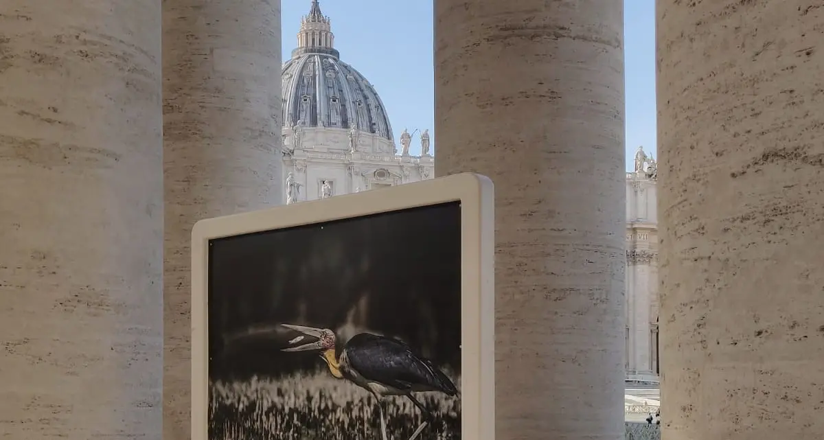 Papa Francesco inaugura la mostra fotografica in piazza San Pietro: dedicata alla «Laudato sì’», realizzata da Lia Beltrami e Asaf Ud Daula