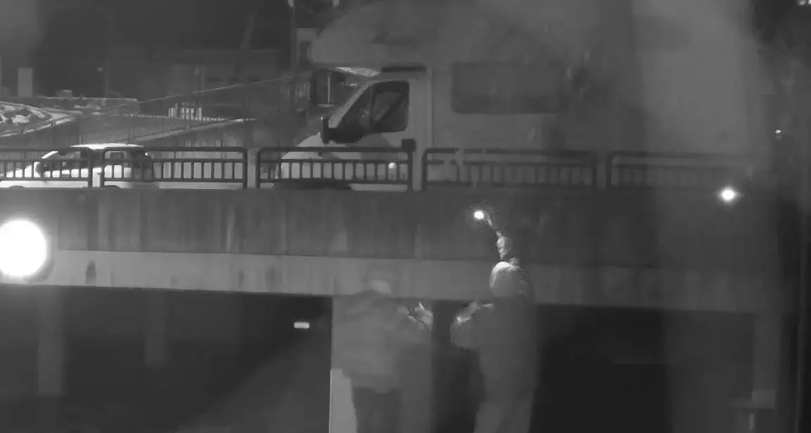 Salgono sul tetto di un'auto e ballano per Instagram: ripresi dalle telecamere alzano il dito medio, denunciati