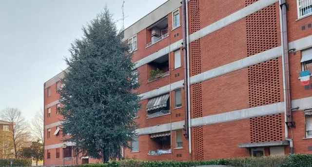 Donna uccisa: figlio arrestato resta ricoverato in psichiatria