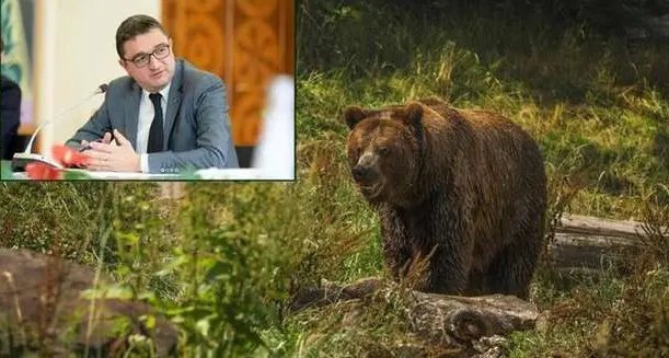 Abbattimento dell’orso M90, la soddisfazione di Fugatti: “Agito con professionalità”