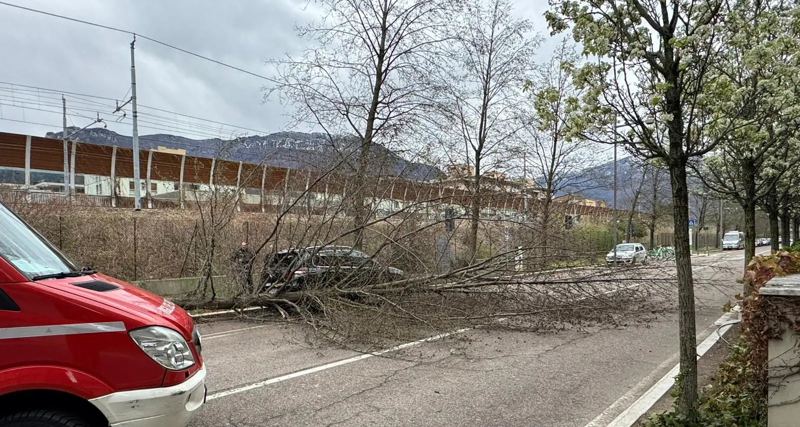 Trentino spazzato da raffiche di vento fortissime: già 130 interventi dei vigili del fuoco