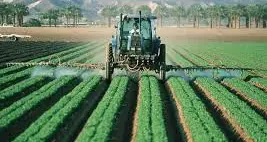 Il made in Italy agroalimentare deve essere protetto e valorizzato