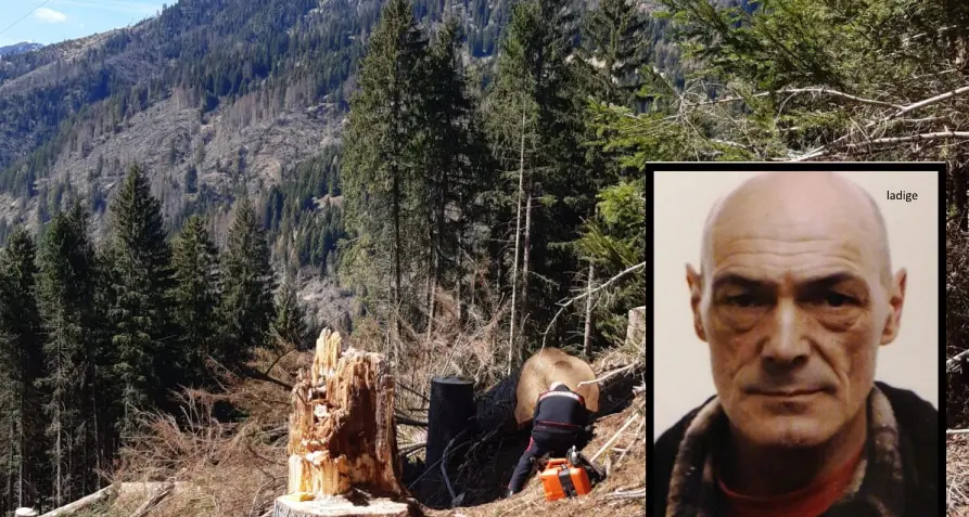 Ucciso da un tronco nei boschi: la vittima é il noto imprenditore Aldo Fanton