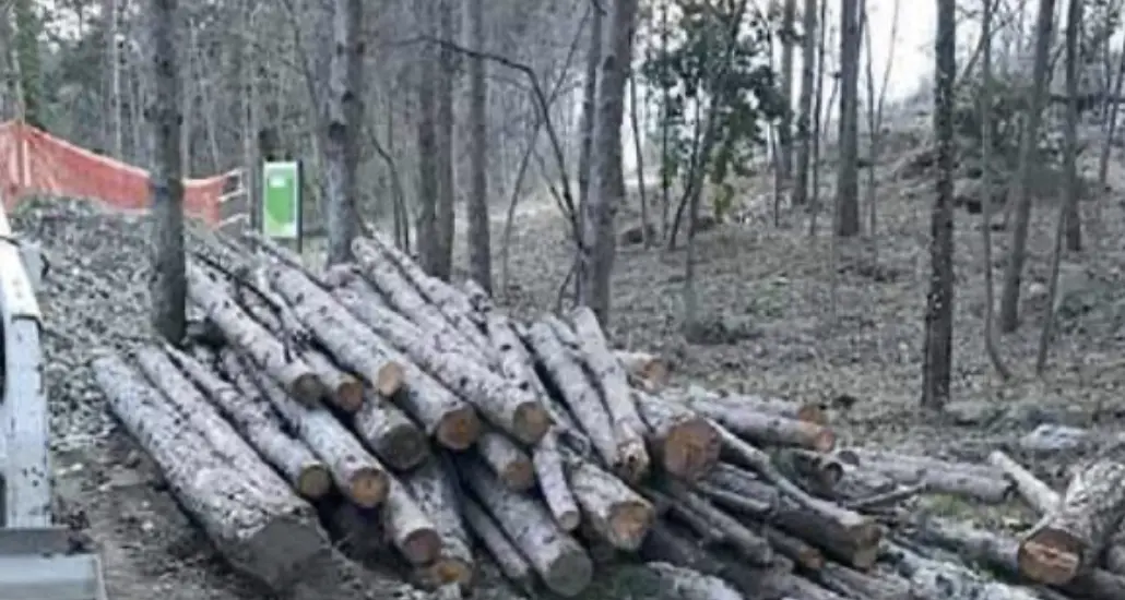 Busatte, la denuncia del Coordinamento Ambiente: «Sbancato il bosco per le mountain bike»
