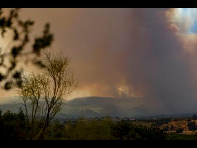 Operazioni di emergenza e evacuazione in corso nei pressi di Madrid durante incendio boschivo fuori controllo