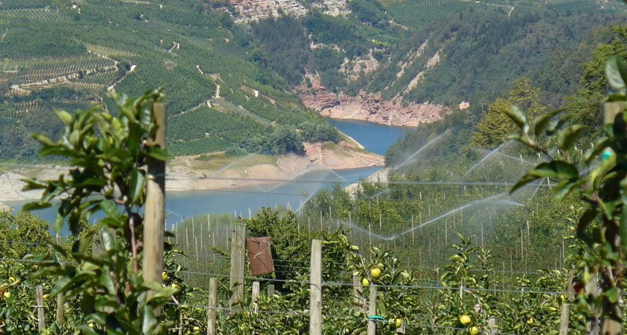 Siccità, il Veneto vuole l'acqua dei bacini trentini, la risposta di Tonina: «sì per emergenza acquedotti, no per l’uso nei campi veneti»