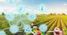 L’innovazione tecnologica nel settore agricolo: uno strumento utile ad incrementare la produttività agricola di qualità