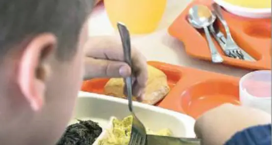Il servizio di ristorazione delle scuole dell’infanzia del Comune promosso a pieni voti
