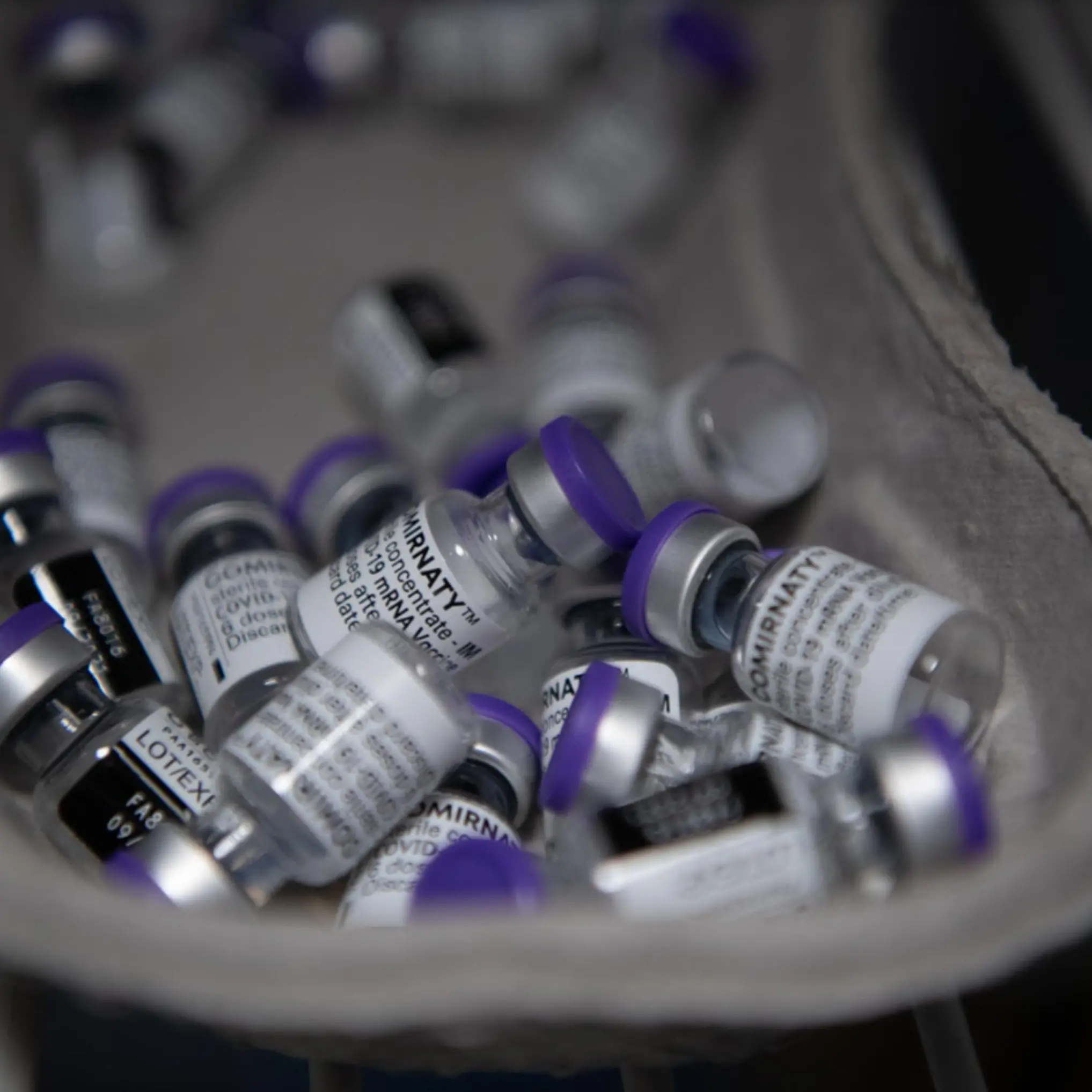 In Trentino campagna vaccinale a rilento, ma abbiamo 60 mila dosi nei frigoriferi
