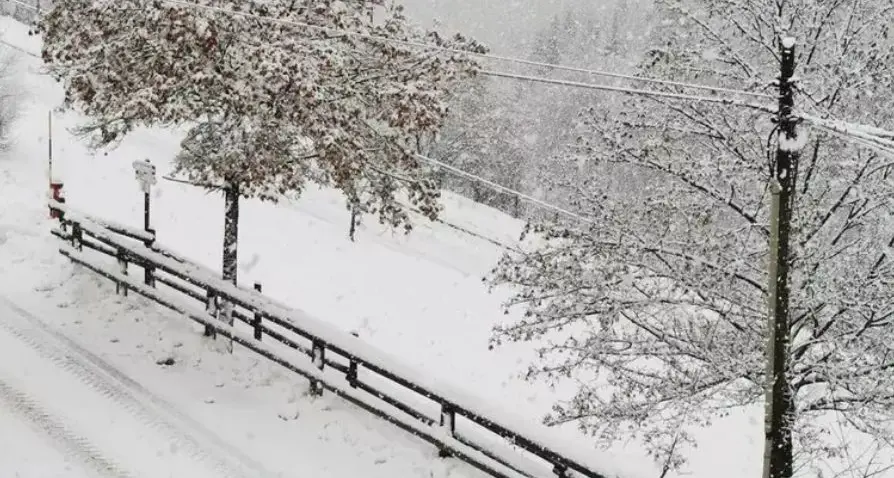 Nevicate in arrivo da questa sera in Trentino, il picco domani mattina