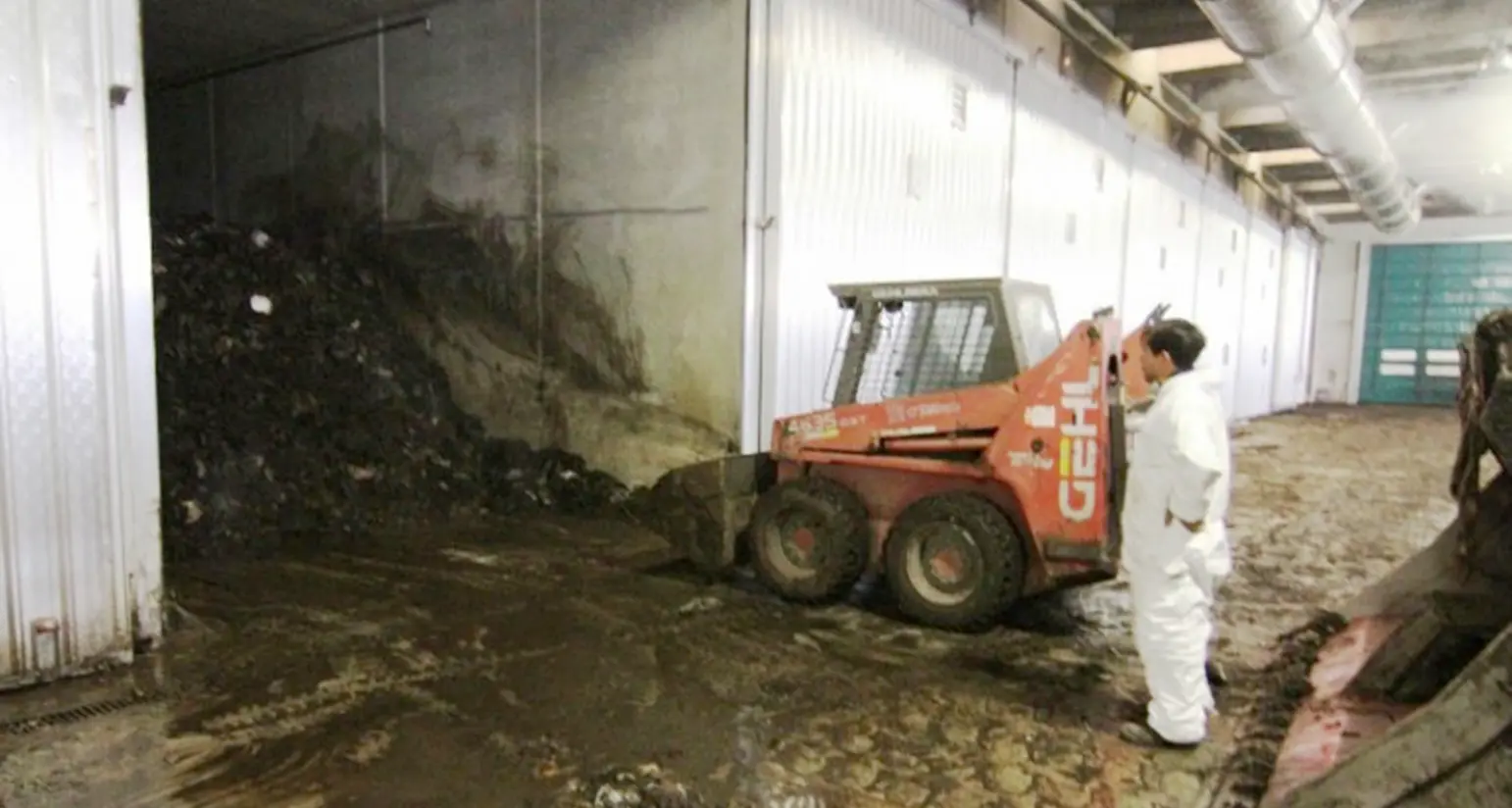 Un grande biodigestore di letame in Rendena? Il Comune: «Calma, serve una variante del Prg»