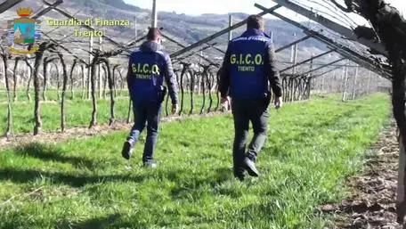 GUARDIA DI FINANZA