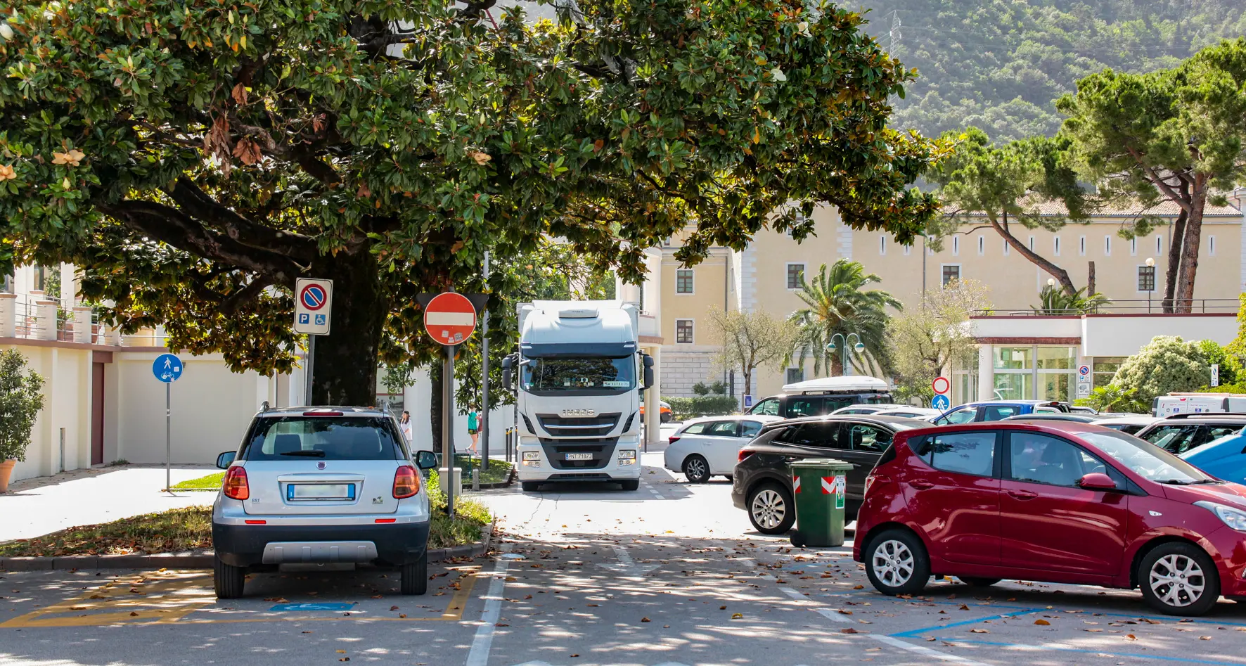 Il Tir polacco e le magnolie di Riva: incastrato per tutto il giorno sotto un albero