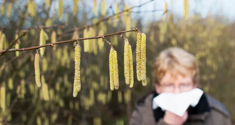 Allergie in aumento ma solo il 2% degli italiani si vaccina