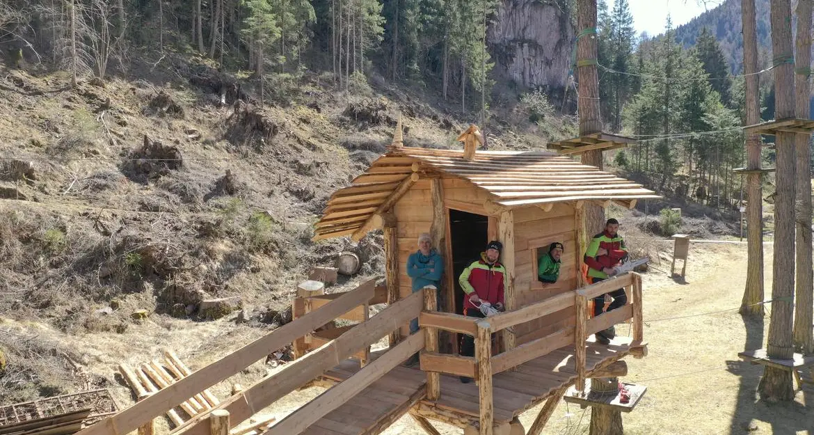 Ritorna su Dmax \"Undercut: l'oro di legno\". I boscaioli trentini al lavoro star in tv