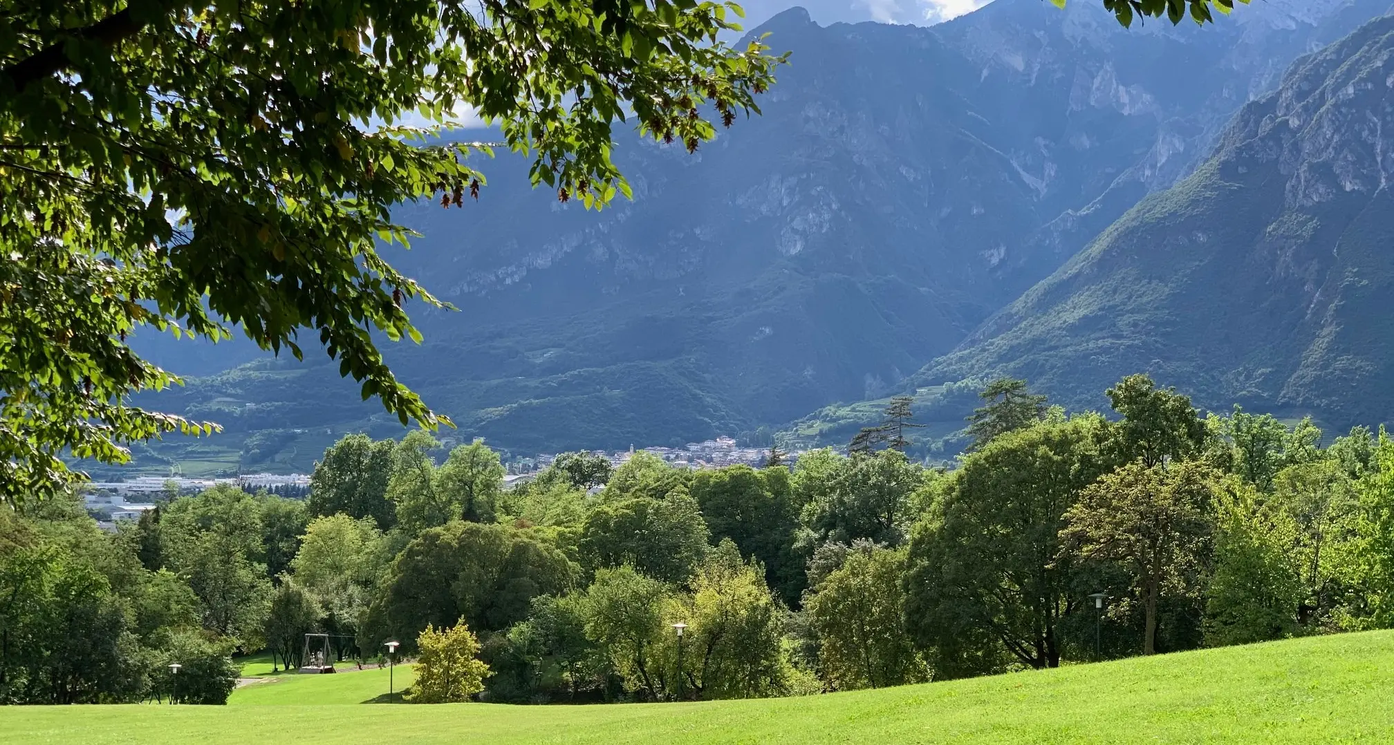 Parco di Gocciadoro, verranno piantate 2.000 nuove piante