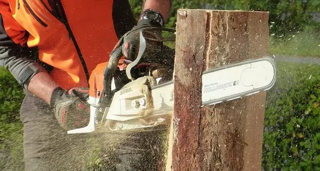 Si ferisce a 18 anni con la motosega in val Campelle