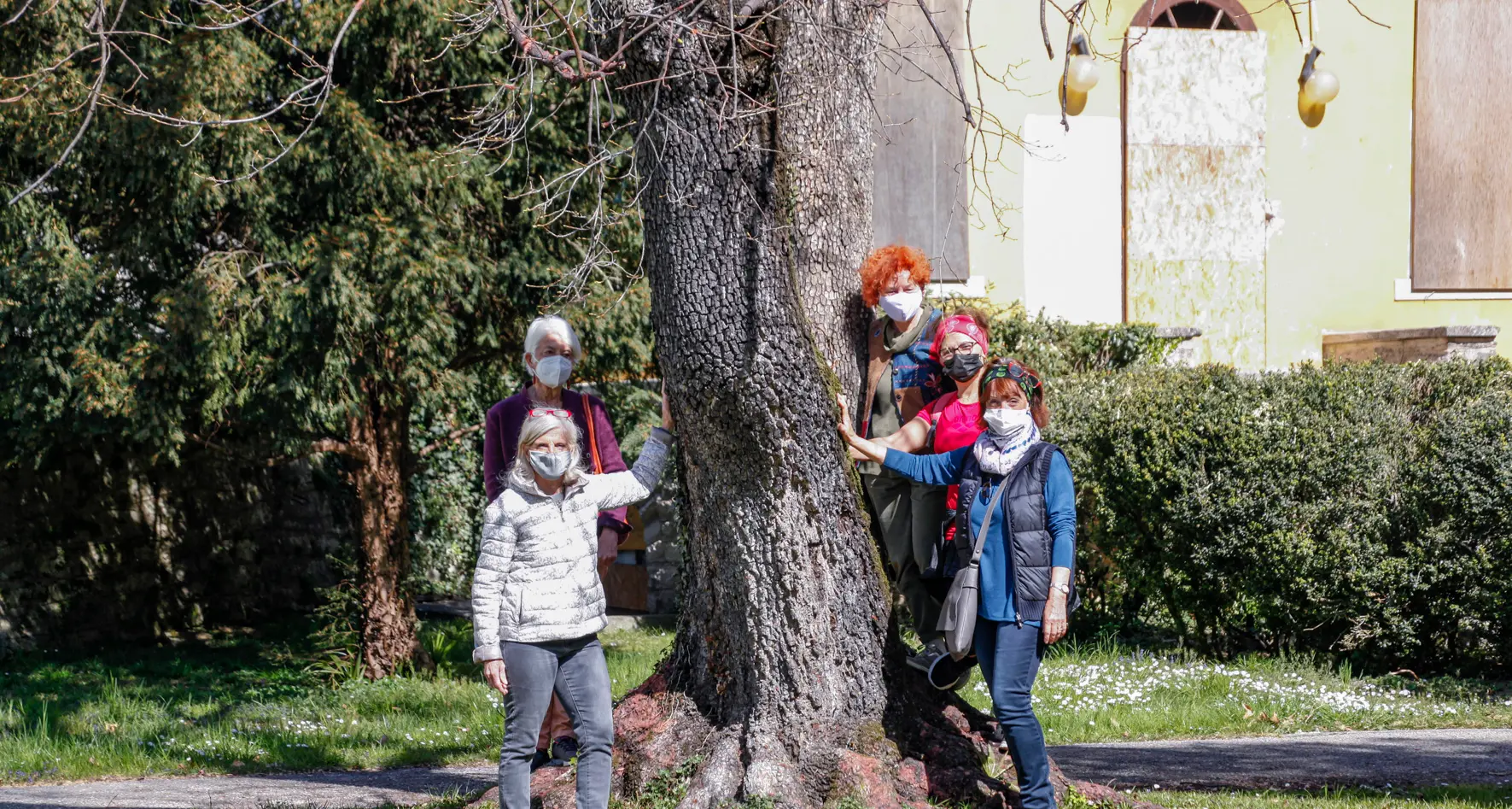 Riva: alberi monumentali da tutelare alla Miralago, per il Comitato sono 38, per il Comune soltanto 3