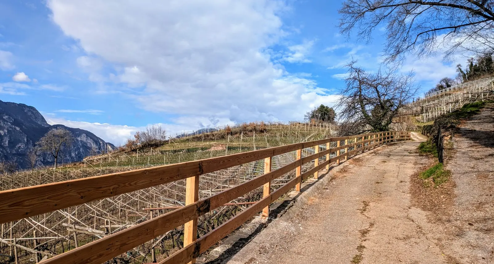 Colline di Pressano: “Strada Canon”, lavori finiti