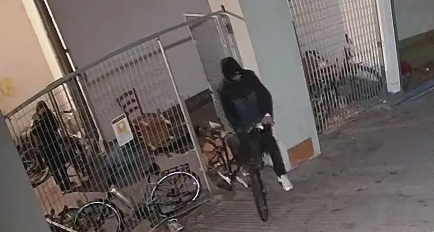 Non si fermano i furti di bici e i danneggiamenti di auto nelle strade e nei parcheggi di Trento – I ladri ripresi dalle telecamere