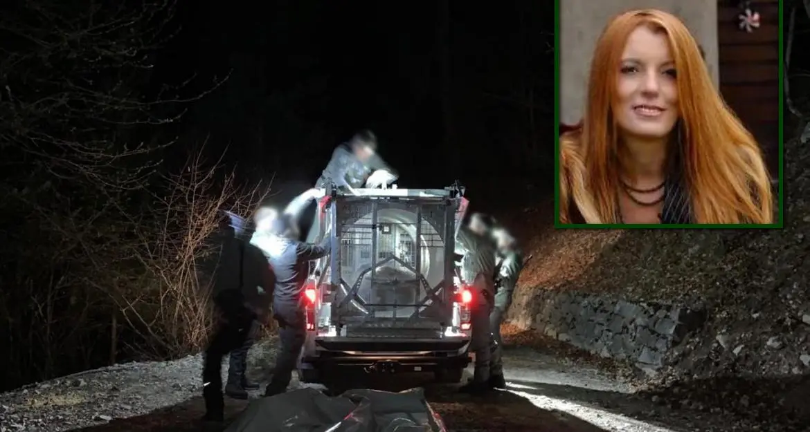 Life Ursus, l’Intergruppo parlamentare dei diritti degli animali: «Uccidere l’orsa JJ4 e gli altri esemplari sarebbe solo vendetta»