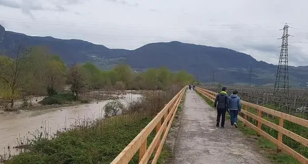 Mezzolombardo, 38enne finisce nel Noce: recuperato in gravi condizioni