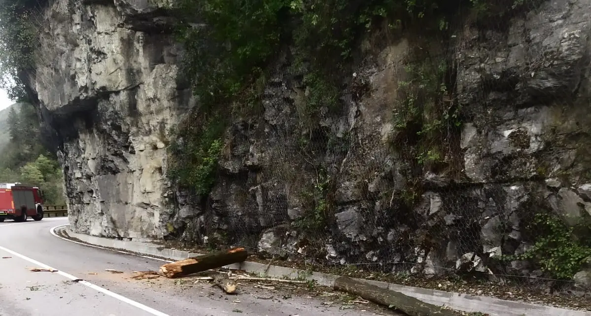 Paura a Ponte Arche: un grosso tronco piomba sulla statale, traffico deviato per un’ora