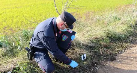 Spara ai cinghiali nel Parco “protetto”, la figlia lo riprende: denunciato