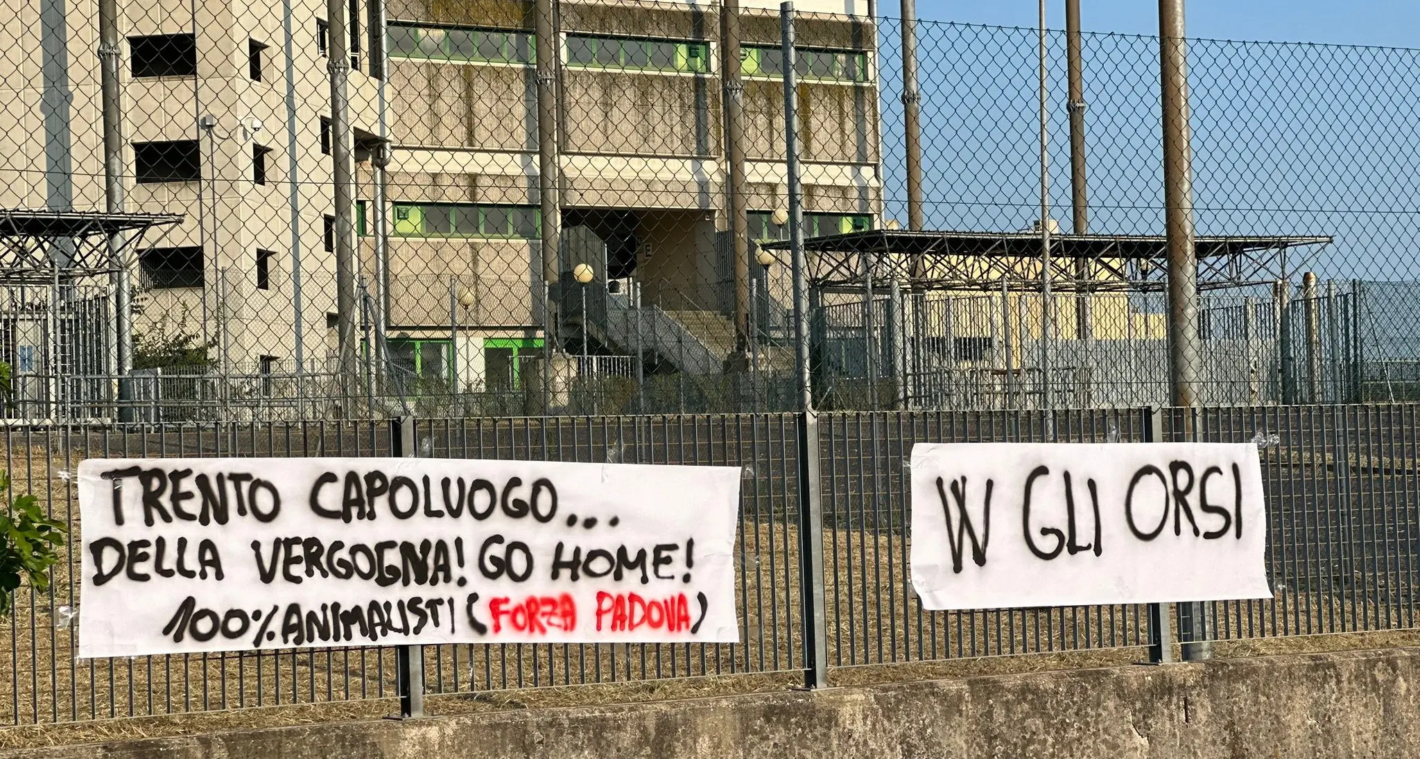 I tifosi del Padova si preparano alla partita con il Trento, striscioni allo stadio Euganeo: «Assassini di orsi»