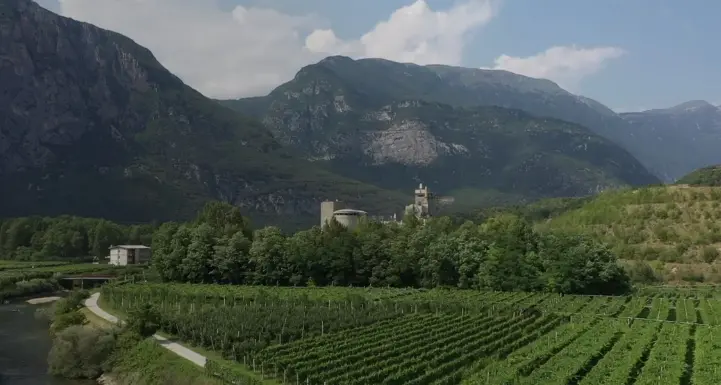 Biodistretto Valle dei Laghi, che ribaltone: ecco il nuovo direttivo