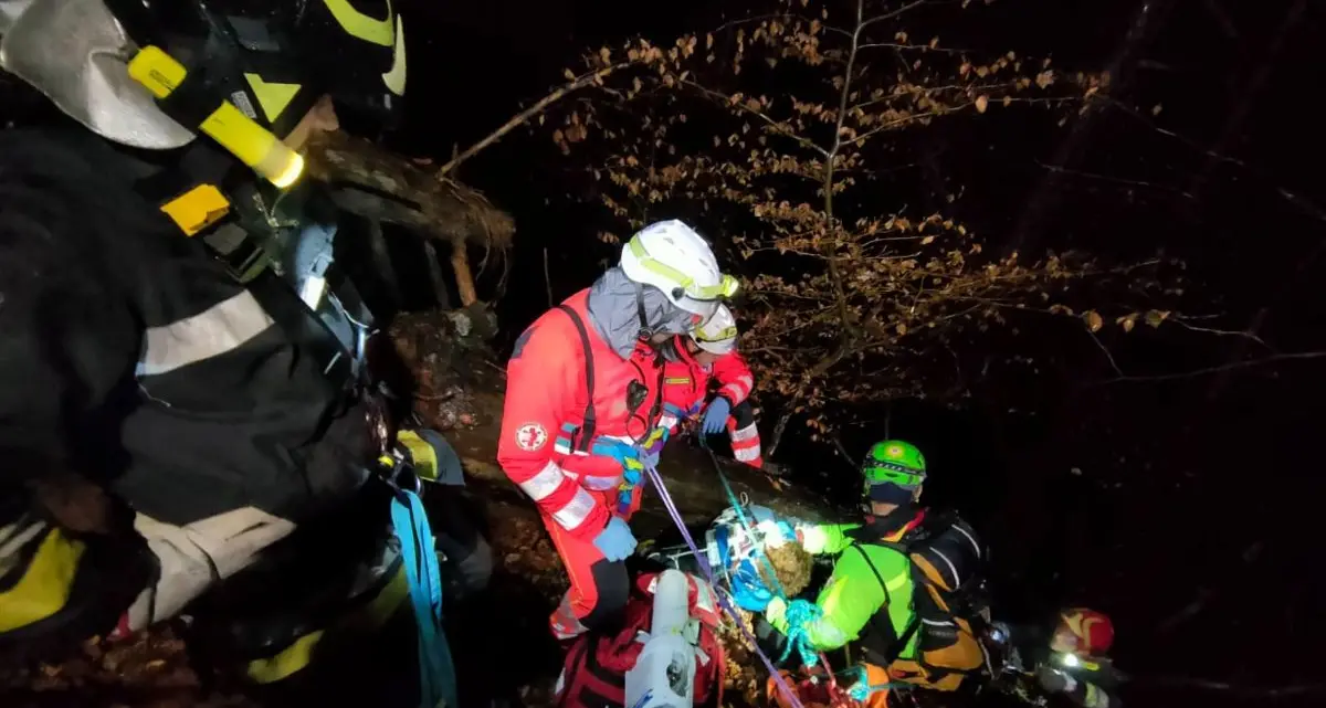 Salvare un boscaiolo intrappolato sotto un tronco, di notte, in un bosco isolato: l’esercitazione a Pinzolo