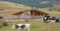 Azienda forestale Trento-Sopramonte, il Comune: «Asuc non diventerà ente privato»