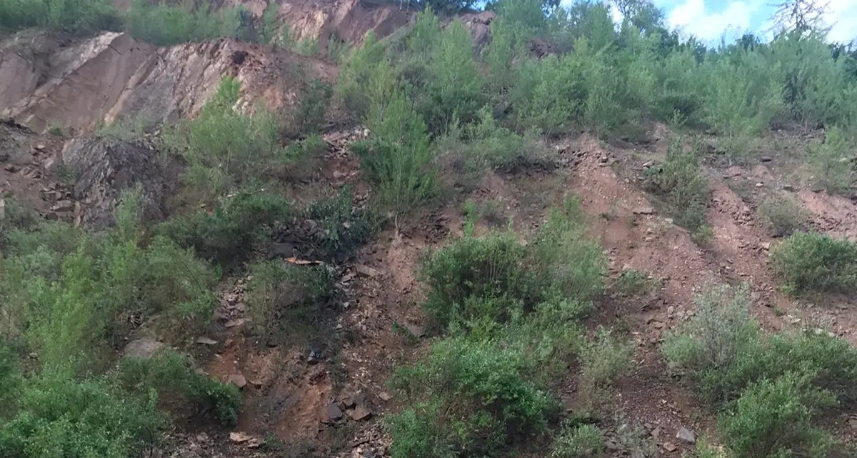 Rubano una ruspa in cava alle 2 di notte e precipitano per 200 metri nel dirupo