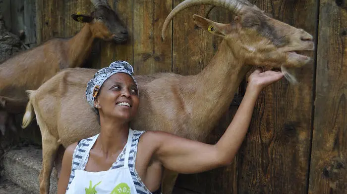 FACEBOOK AZIENDA AGRICOLA \"LA CA