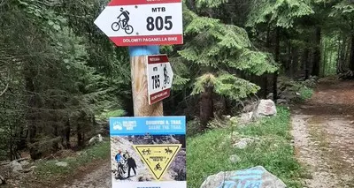 Ciclista in mountain-bike seguito dall'orso su un sentiero a Ciago questa mattina