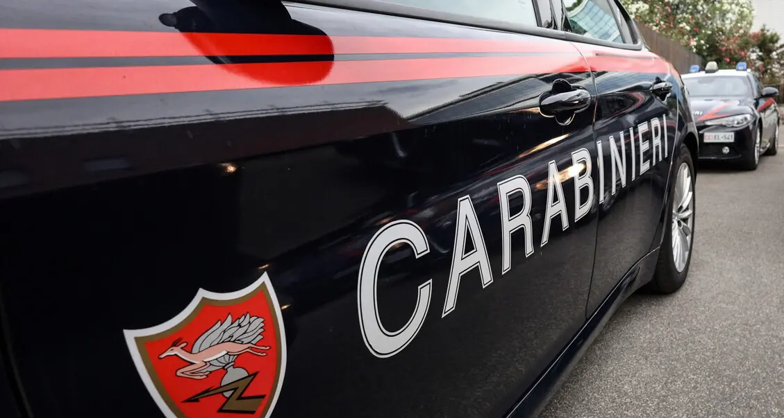 Assalto a un carico di canapa in Veneto, arrestati cinque trentini dopo il blitz notturno