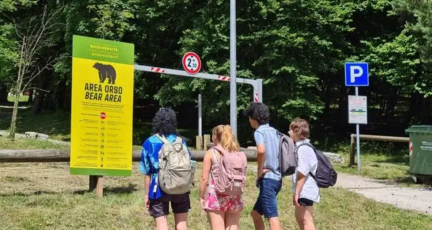 Gestione degli orsi, dai sindaci la trentini richiesta di un Comitato scientifico: «Impossibile andare avanti così»